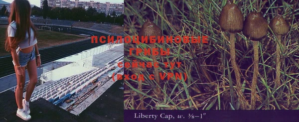 apvp Алзамай