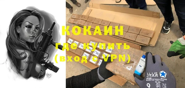 apvp Алзамай