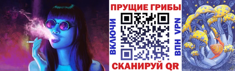 купить закладку  Чкаловск  Псилоцибиновые грибы ЛСД 
